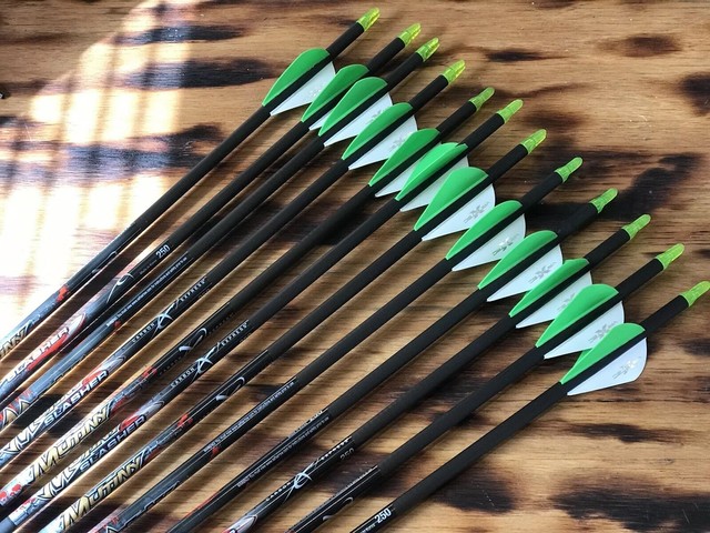Mutiny Slasher 250 Arrows W//2/" Vanes 12pk for sale online Carbon Express