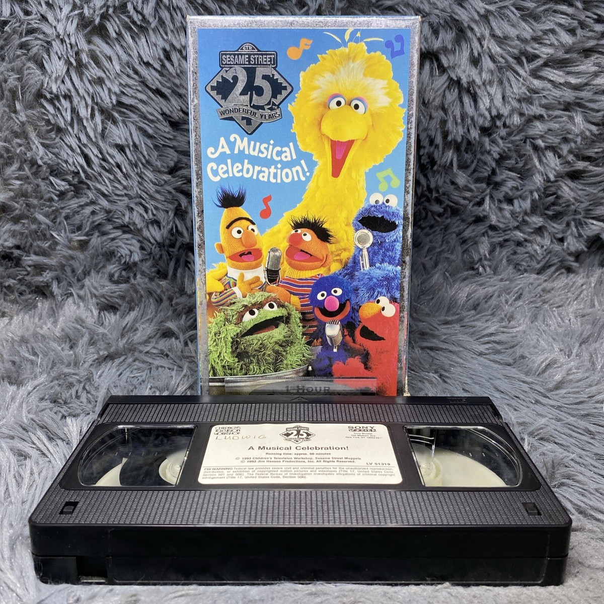 The Birthday/THE VIDEOS+DOCS SEP 2005-N… Sesame Street 25th Birthday A Musical Celebration VHS 1993