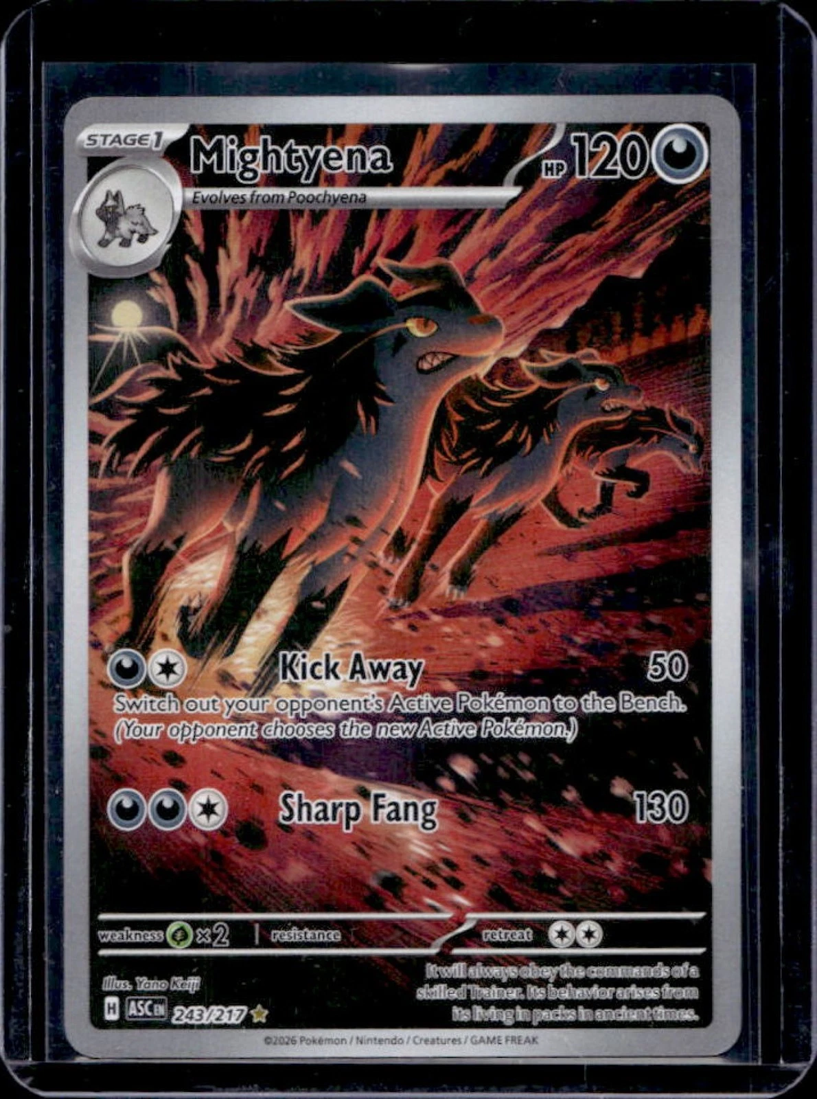 2026 Pokemon Ascended Heroes Mightyena Illustration Rare #243/217