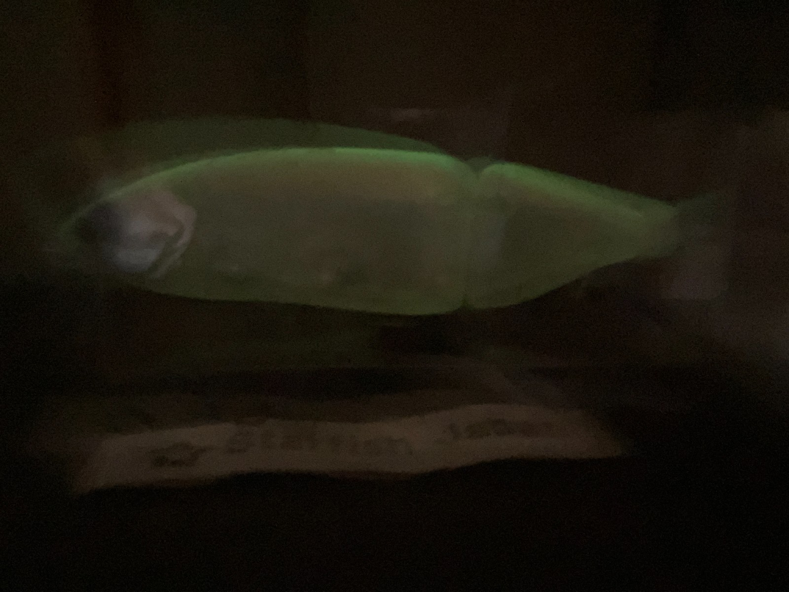 DRT TINY KLASH THRILLER Annive Color 2 oz Big Swimbait Low Float released... - Image 7