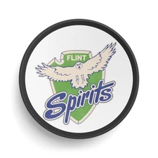 Flint Spirits Michigan Hockey Puck