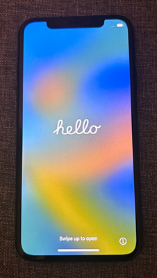 Apple iPhone X 64GB Black Network Unlocked Smartphone w/ OtterBox