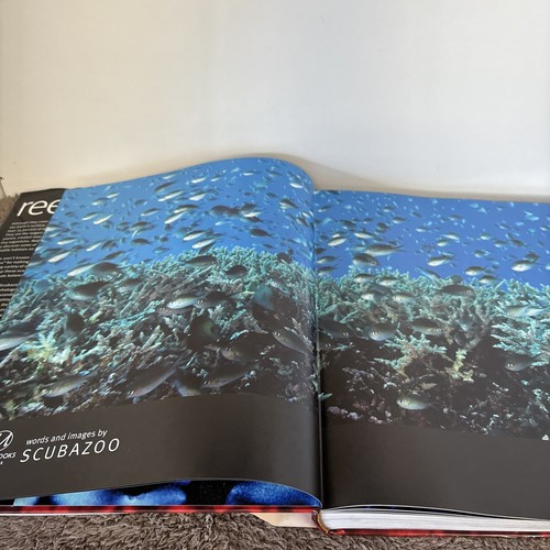 Scubazoo Reef Hardcover with Ocean Fish Photos - Foto 4 di 15