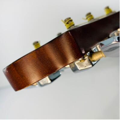 Electric Acoustic Guitar Barclay by Pro-session Sound Electric Acoustic Guitar Barclay by Pro-session Sound