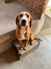 Image Picture Photo Wallpaper Background Beautiful Art # 82