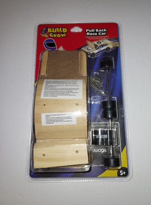 BUILD AND GROW Pull Back Wood Race Car 6'' LOWE'S Kit NEW Customize Your Own Car