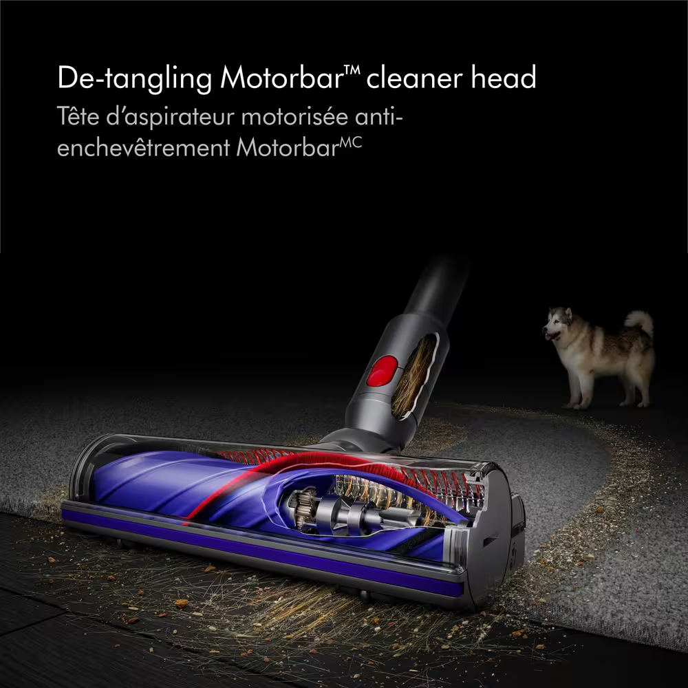 Aspirateur sans fil Dyson V12 Detect Slim | eBay