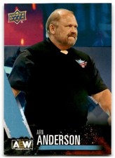 2021 Upper Deck AEW #71 Arn Anderson SP