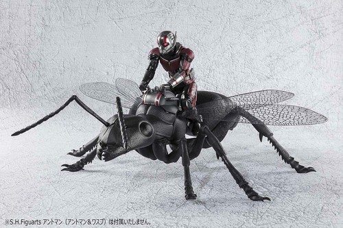BANDAI SPIRITS S.H.Figuarts Ant-Man & Wasp Ant-Man & Wasp About 250 - Imagen 3 de 7
