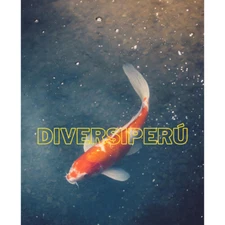 Digital Image nature Photo Wallpaper Background AI ART Fish Koi