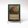 MTG Argothian Swine Urza's Saga Vintage Magic: The Gathering LP