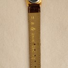 Picture 6 of 6