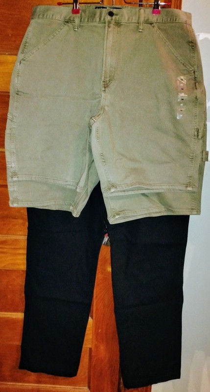 NWT (3) Men's GAP Carpenter Shorts Green (2) 36/38 & Pants Black 36x32 MSRP $180