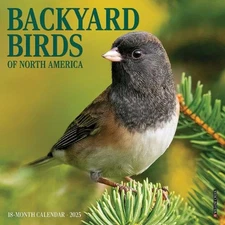 Backyard Birds Mini Wall Calendar by Willow Creek Press