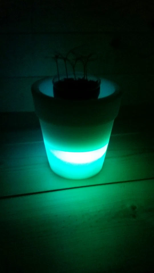 Maceta LED 5 pulgadas que cambia de color maceta cubo de hielo. Foto 3 de 4