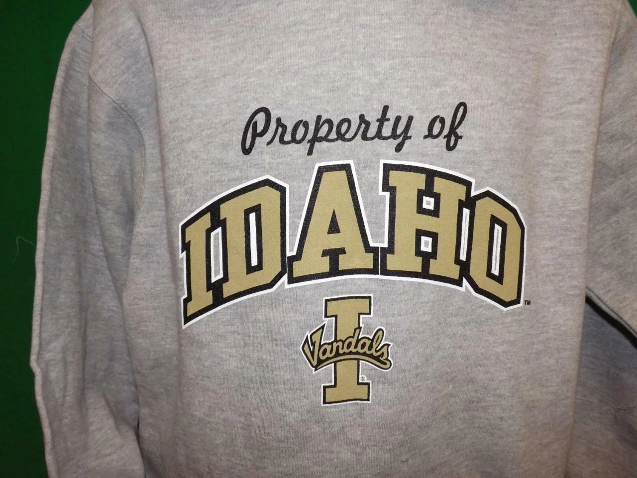 VETEMENTS New Idaho Vandals Youth Sizes S M L XL Gray Hoodie