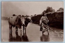 RRPC Photo Postcard Romanta Farmer With Oxen Cow c1910's Unposted Antique