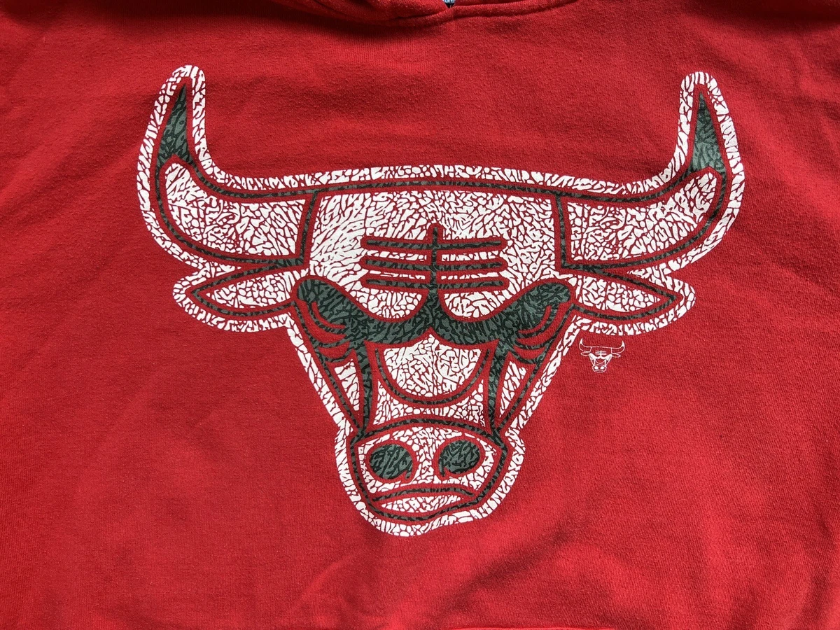 Chicago bulls cheap blue hoodie