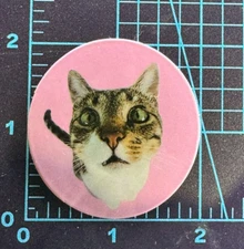 Pink Bubble Cat World - Vinyl Decal Sticker Bomb Statement Star Wink Fishbowl