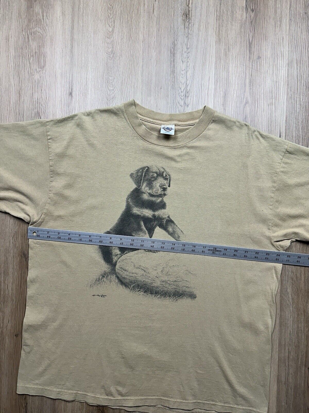 Picture 5 of 6