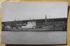 DAGAN (Zim) Original Photograph