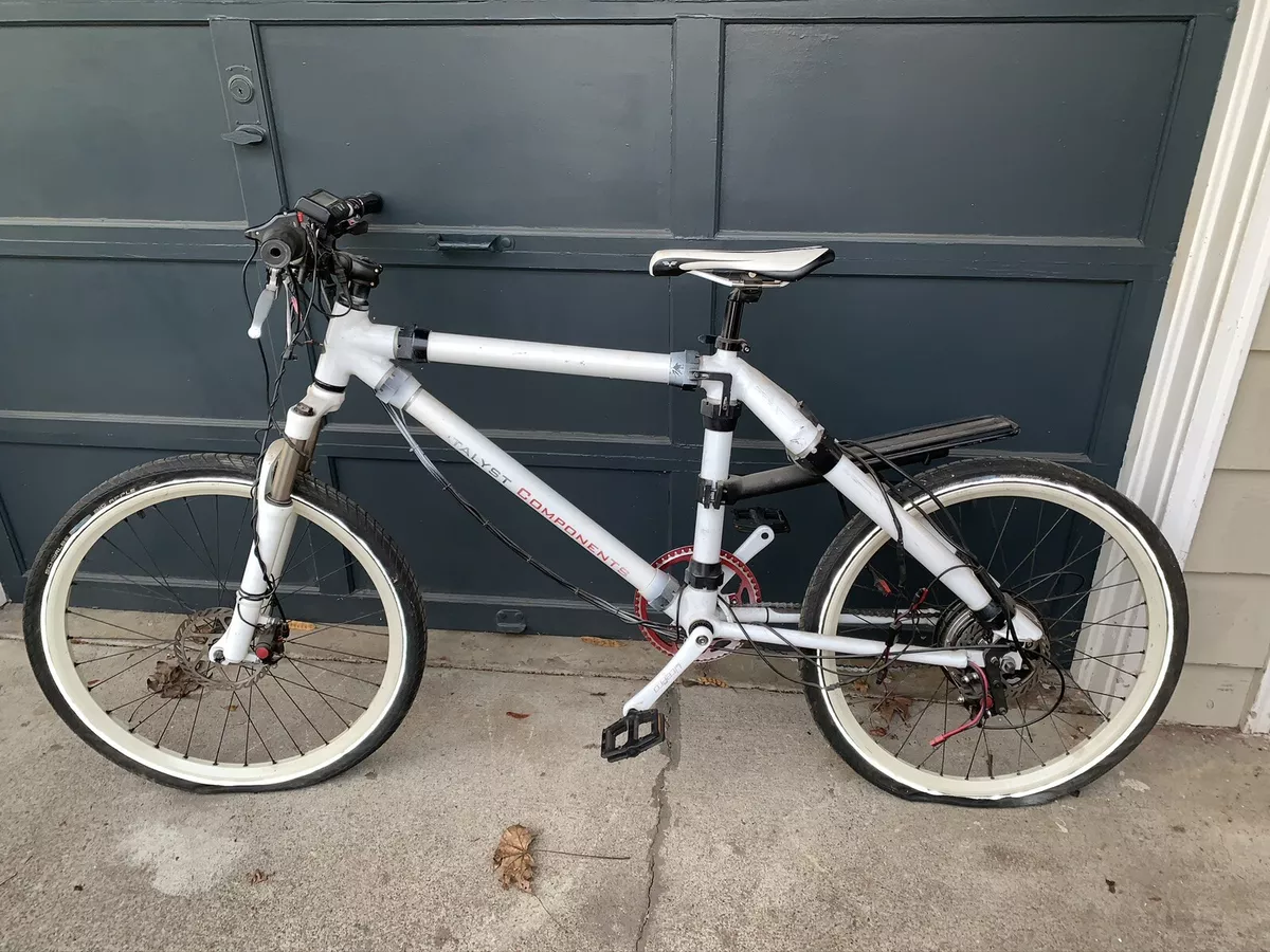 Electric 2024 bike project