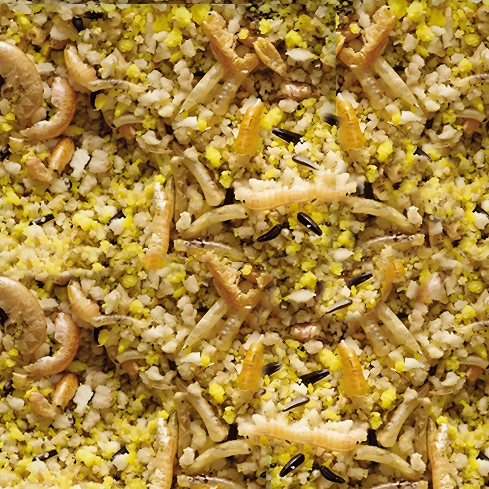 Versele-Laga NutriBird Gold Crumble Exoten 1 kg, Vogelfutter, UVP 6,50 EUR, NEU - Bild 2 von 2