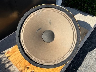 1964 Goodmans 18'' Audiom 91 Speaker/Vox Foundation AC50 Cabinet Driver