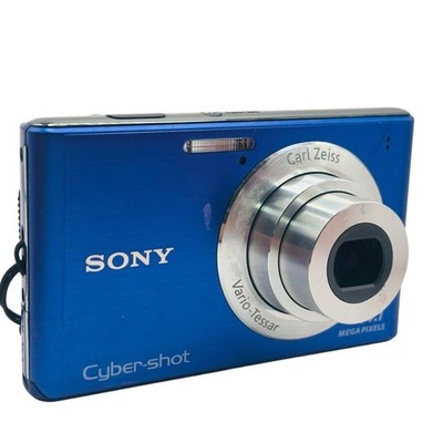 Sony Cyber-shot DSC-W550 14.1MP Digital Camera - Silver for sale