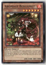 #CORE-EN037 - Aromage Bergamot - Rare,1st Ed WB1 R Lightly played