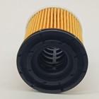 Foto 10 di 10