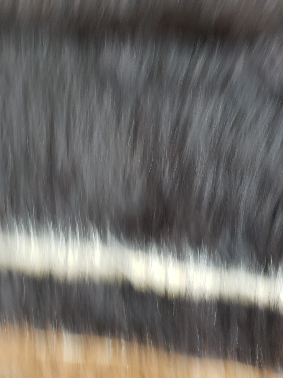 Bild 9 von 12