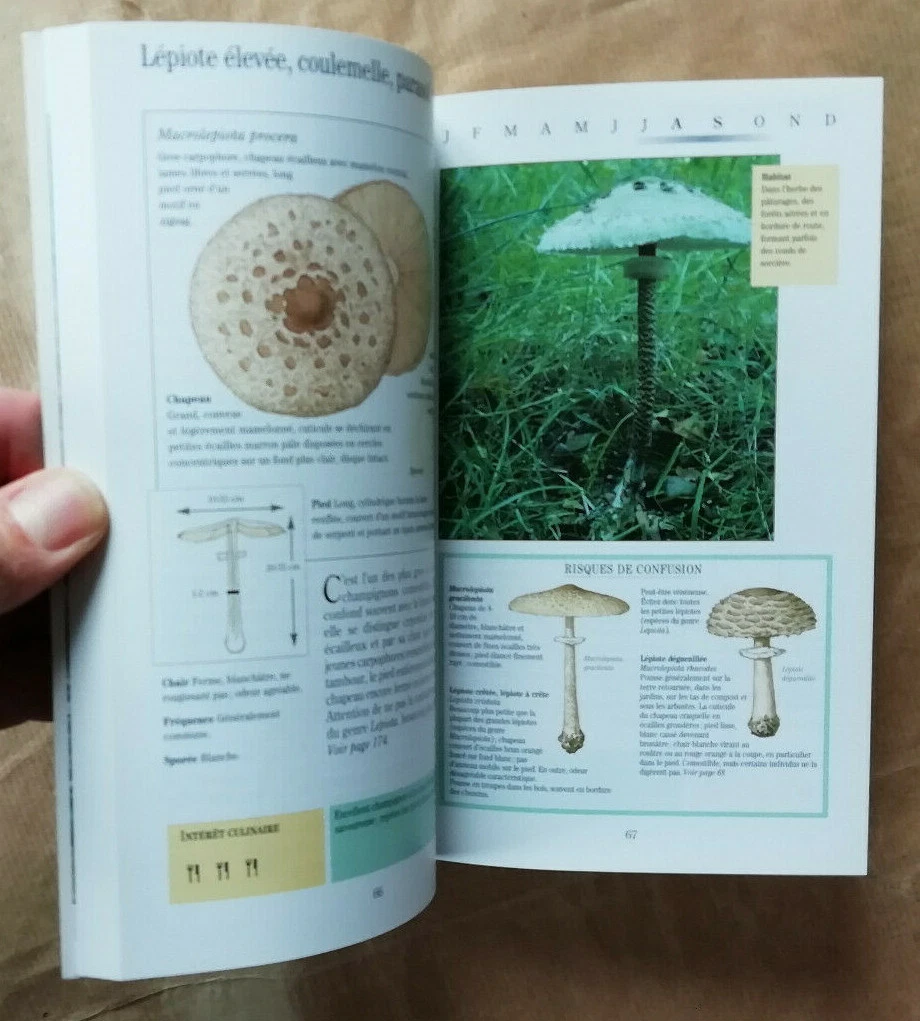 Photo 8/10