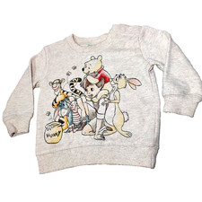 Disney Baby Winnie the Pooh Comfy Shirt Unisex Size 6-9 Mo Fleece Lined Eyore