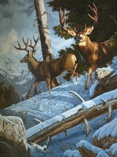 BREAKING COVER - Print By Wildlife Artist Tom Mansanarez - Signed & Numbered