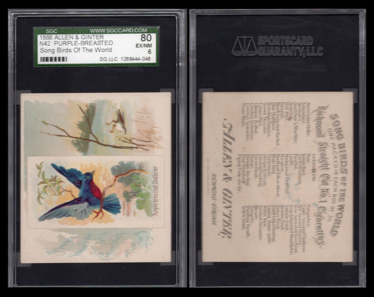 1888 N42 ALLEN & GINTER SONG BIRDS 1888 N42 ALLEN & GINTER SONG BIRDS