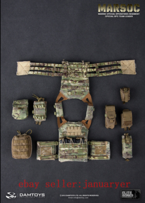 Perfect Damtoys 78006 1/6 Marsoc Special Ops Team Leader Action