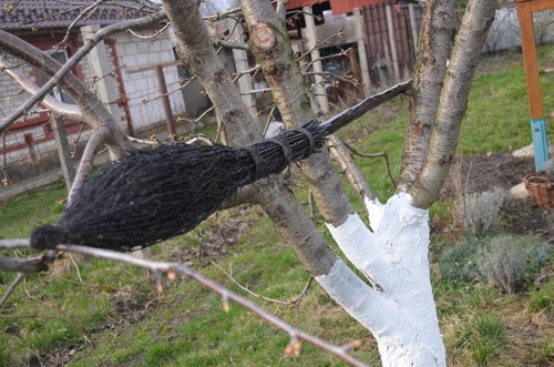 Wiccan Wedding Broom Witch Broom Broom Village Wedding Broom for Ritual Wedd - Picture 8 of 10