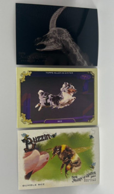 2024 Topps Allen & Ginter Inserts X-Ray, Buzzin, Stars of the Show, Oregon Zoo