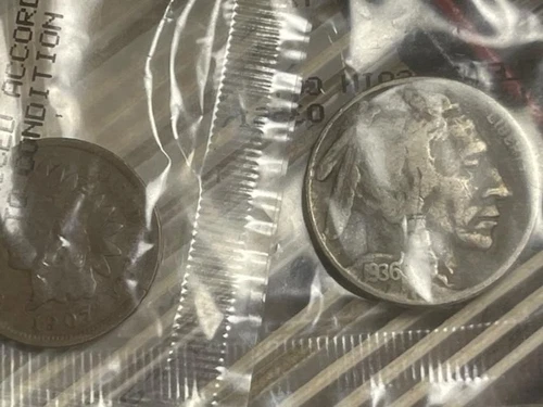 1936 D - Buffalo Nickel & 1907 Indian Head Penny 2 Coin Lot - Littleton Package