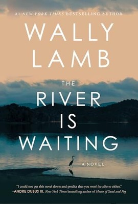 The River Is Waiting A Novel - VERY GOOD