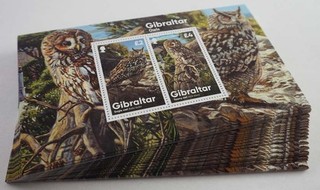 2020 Gibilterra; 100 blocchi di gufo nuovo di zecca/MNH Bl. 143 ME 1500