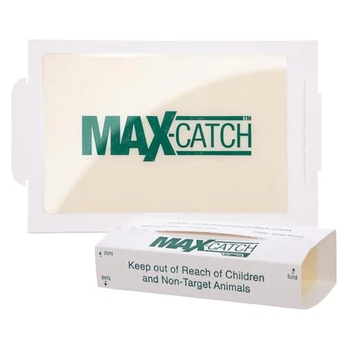 Trampa de pegamento para ratones e insectos Catchmaster Max-Catch 36pk, trampas para ratones interiores para Foto 2 de 4