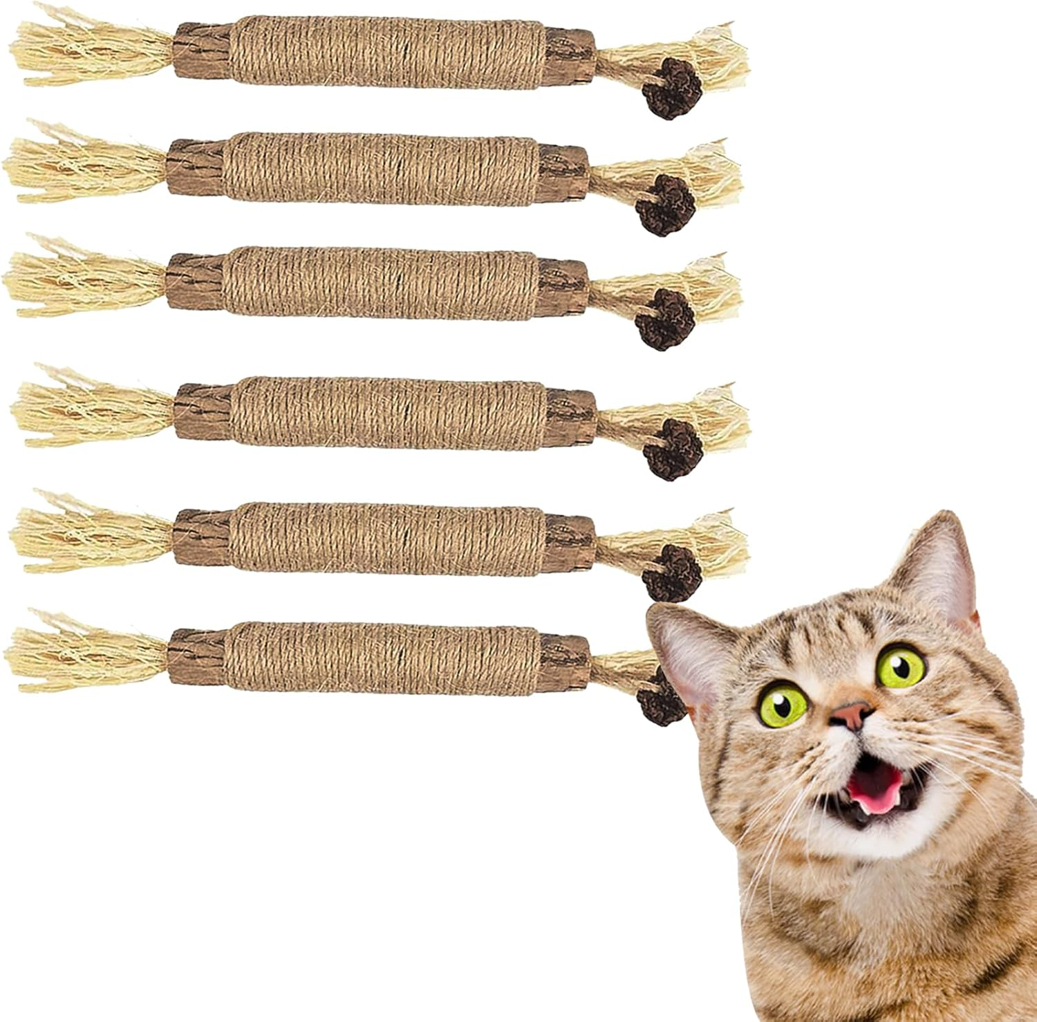 FAST-FX 6 Pcs Natural Sticks Kitten Teething Toys, Cat Teeth Nip Cleaning, Catni