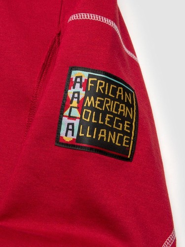 HOWARD University Hoodie | Retro HBCU Pride AACA Sweatshirt | Alumni Gear - Picture 26 of 27