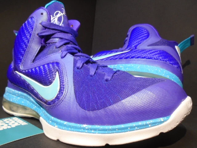 Purple and blue best sale lebrons