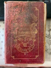 The Two Nigauds Comtesse De Ségur Hachette Paris Castelli Illustrations MK 248