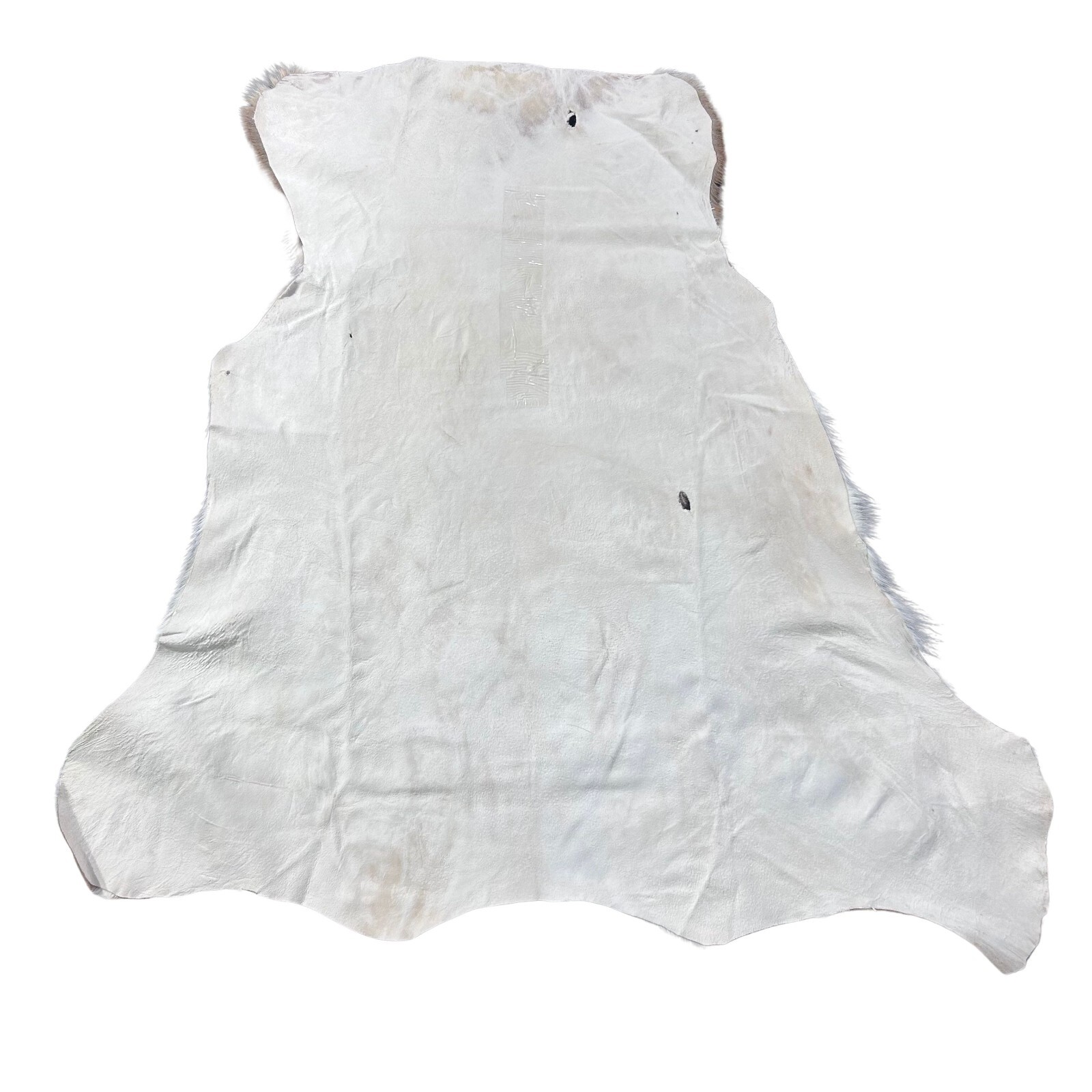 Axis Deer Hide - Rug Grade Chital Deer Hide - Real Axis Deer Skin ...