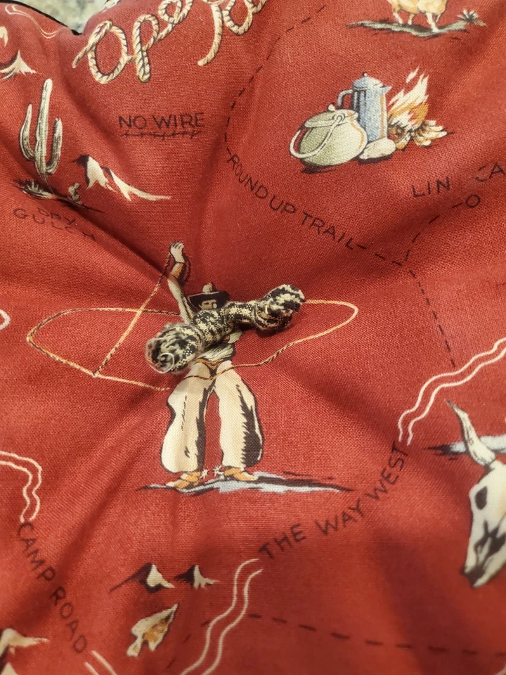 Classique Designs 26"x 12" Western Open Range Map Pillow Black Velvet Borders  - Image 3 of 4