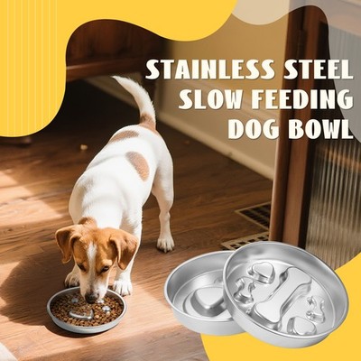 Stainless Steel Pet Slow Feeder Bowl Cat Dog Bowl Effective Anti-Gag Easy-Clean